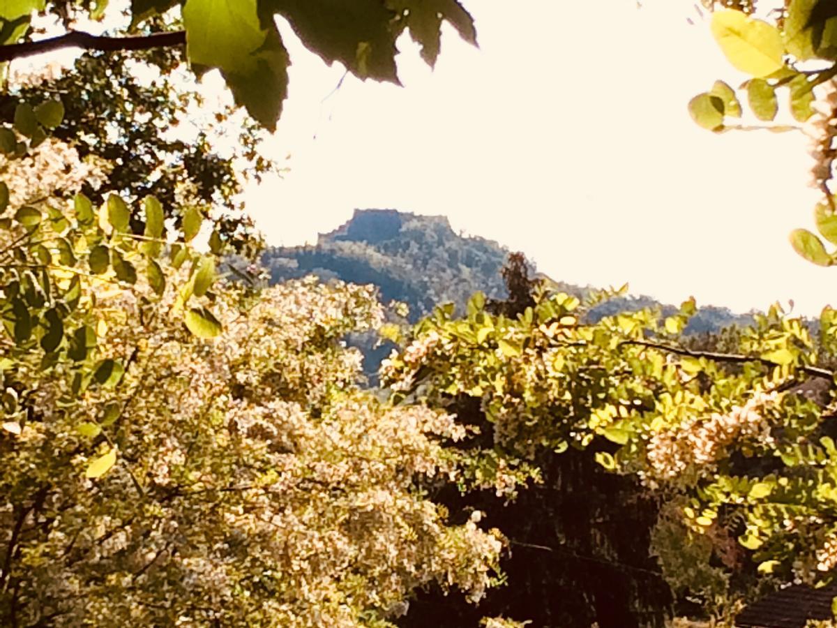 Tana Dell'Elfo B&B Gavi Dış mekan fotoğraf